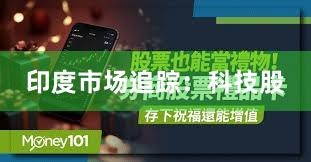 印度市场追踪：科技股